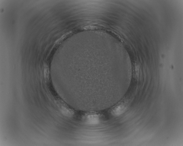 X0000070340228200606231540