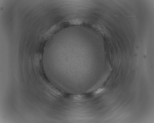 X0000070340229200606231540