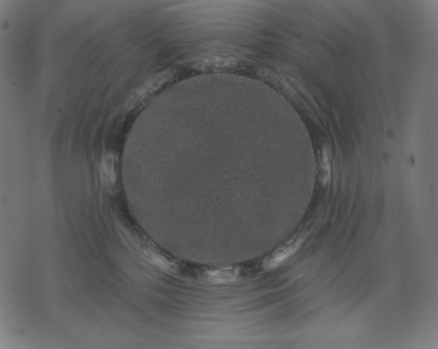 X0000070340232200606231540