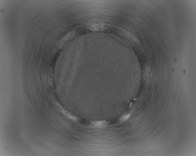 X0000070340233200606231540