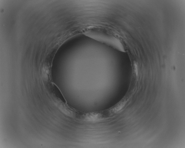 X0000070340235200606231540