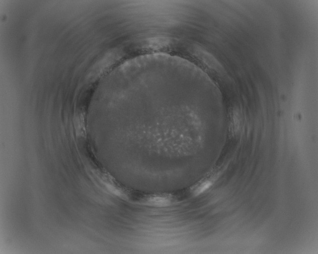 X0000070340236200606231540