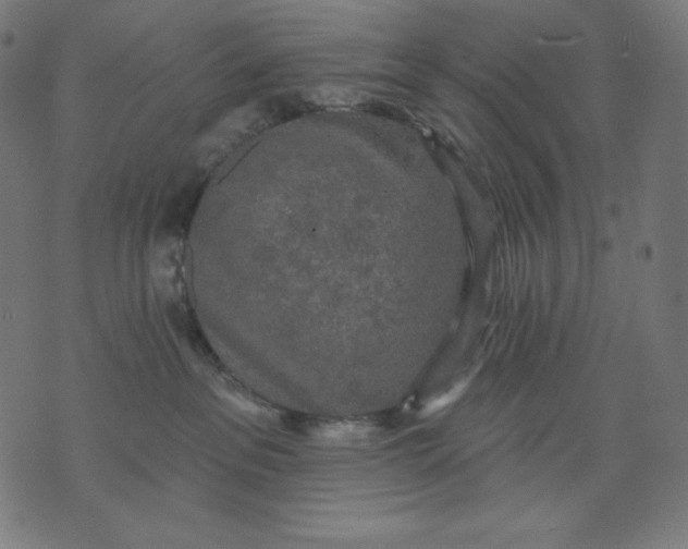 X0000070340237200606231540