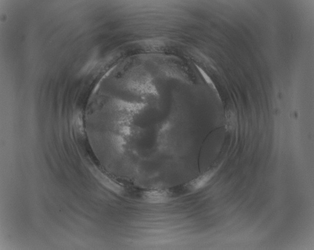 X0000070340238200606231540