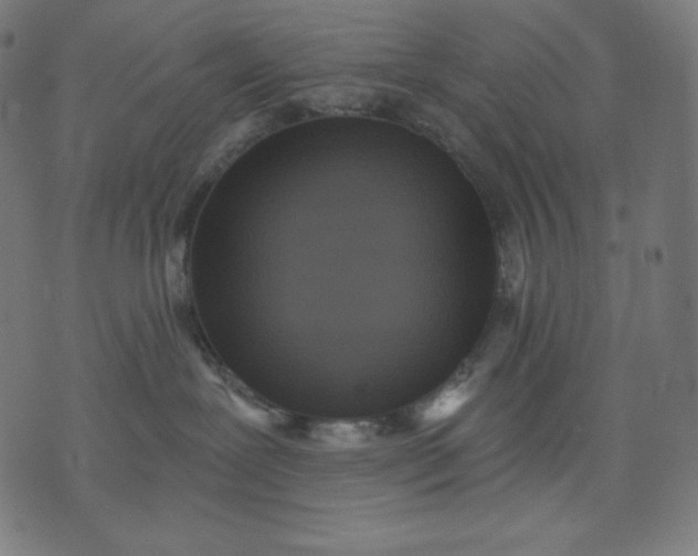 X0000070340239200606231540