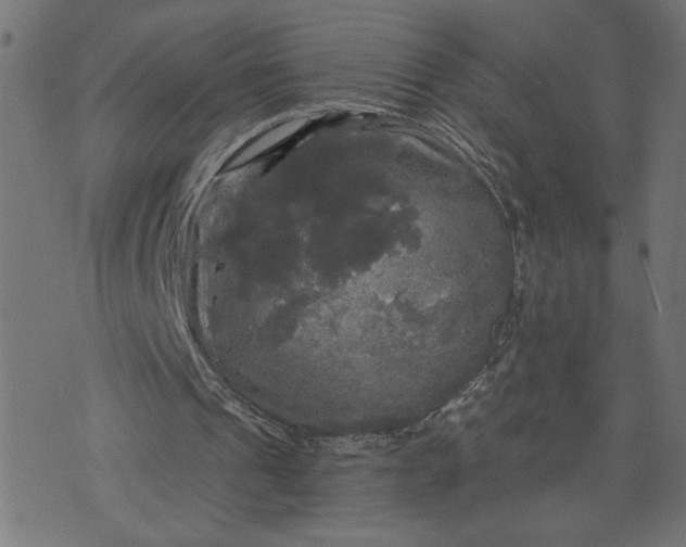 X0000070340241200606231539