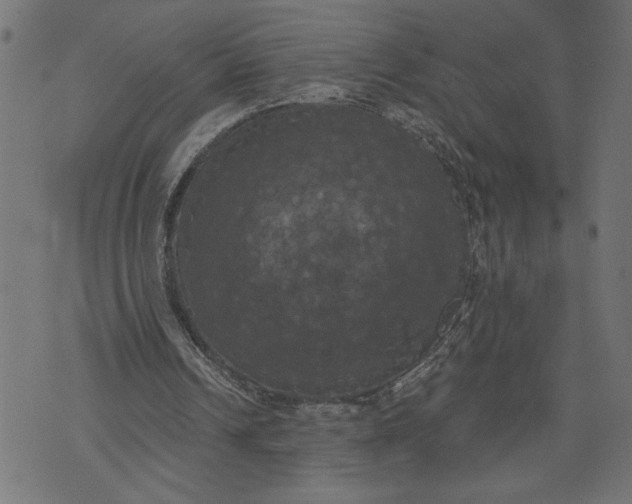 X0000070340242200606231539