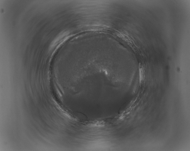 X0000070340243200606231539