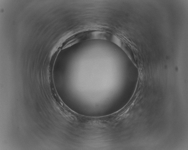 X0000070340244200606231539