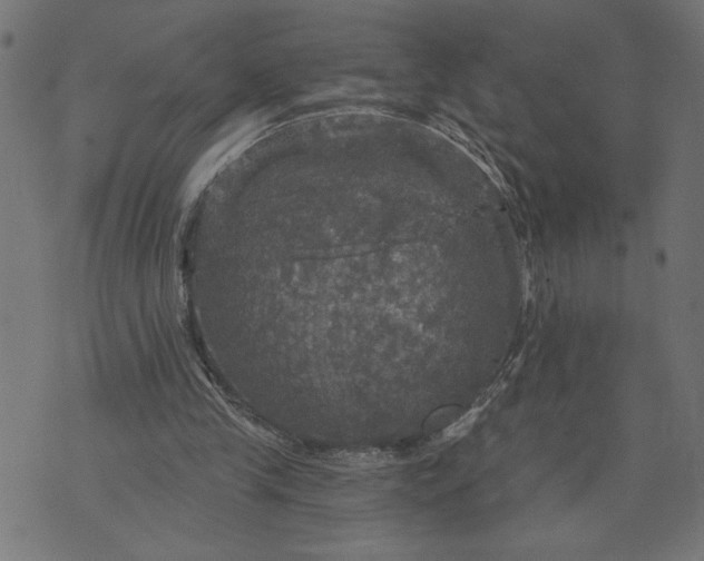 X0000070340245200606231539