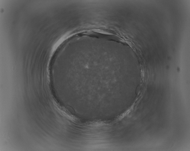 X0000070340246200606231539