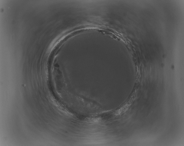 X0000070340247200606231539