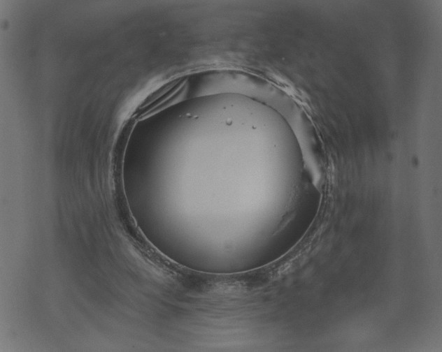 X0000070340248200606231539