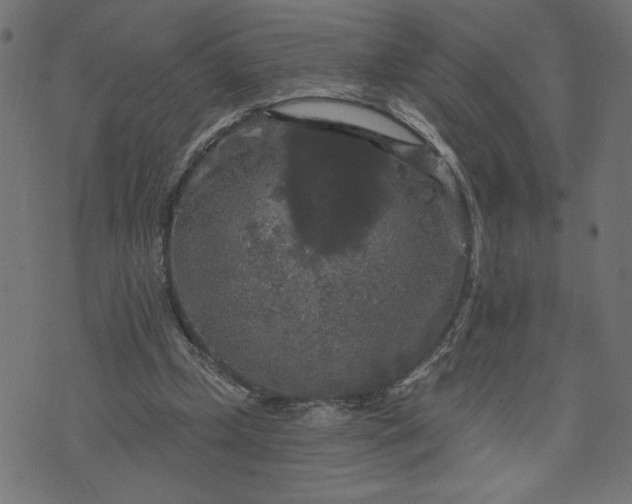 X0000070340249200606231539