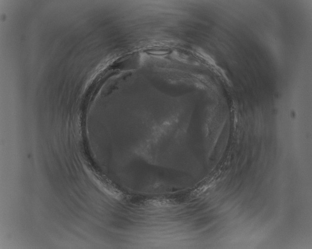 X0000070340250200606231539