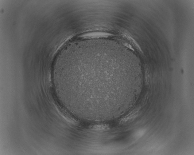 X0000070340251200606231539