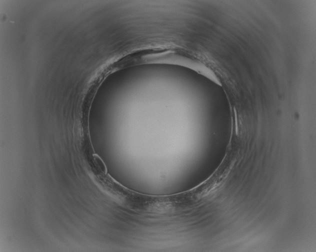 X0000070340252200606231539