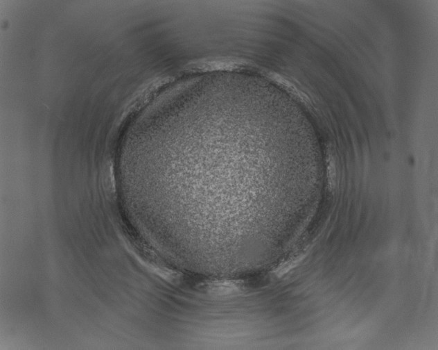 X0000070340254200606231539