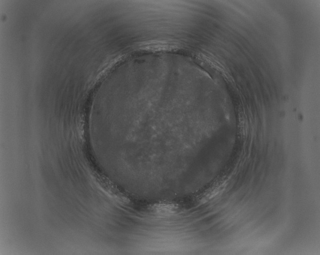 X0000070340255200606231539