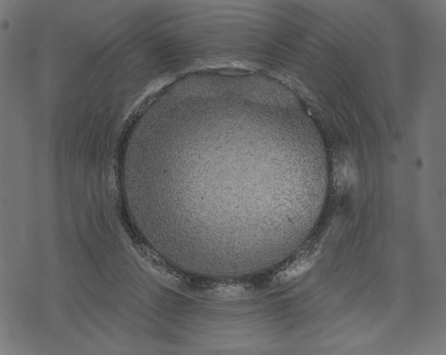 X0000070340256200606231539