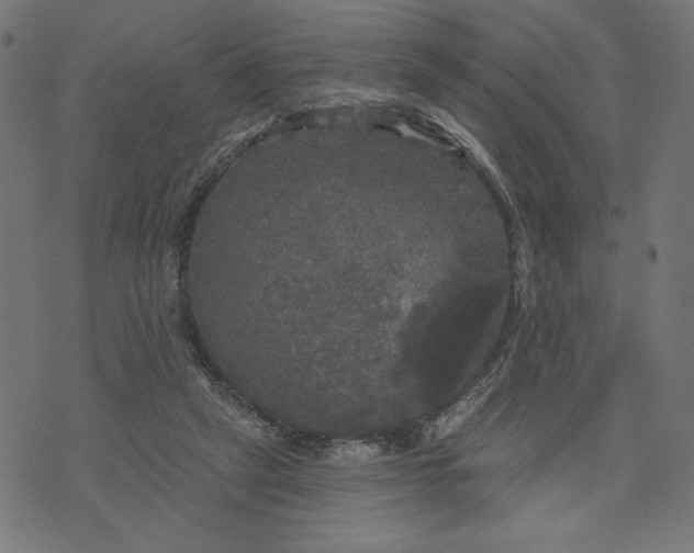 X0000070340257200606231539