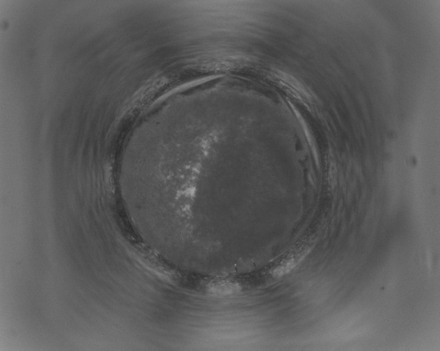 X0000070340258200606231539