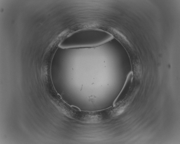 X0000070340260200606231539