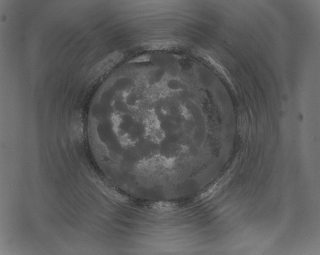 X0000070340261200606231539