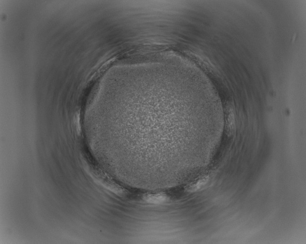 X0000070340262200606231539