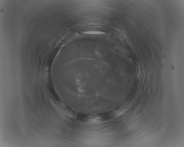 X0000070340263200606231539