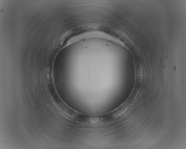 X0000070340264200606231539