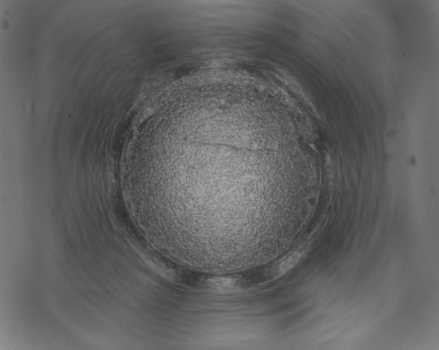 X0000070340265200606231539