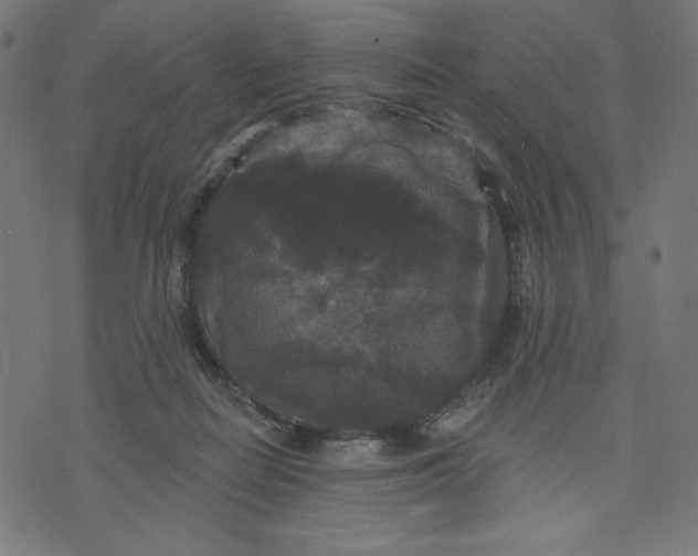 X0000070340266200606231539