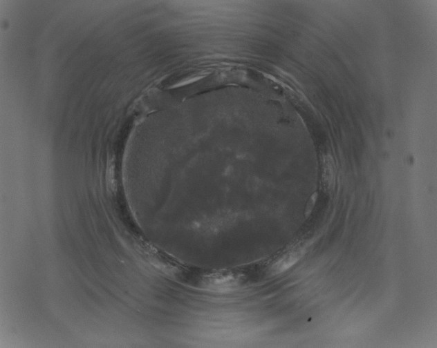 X0000070340267200606231539