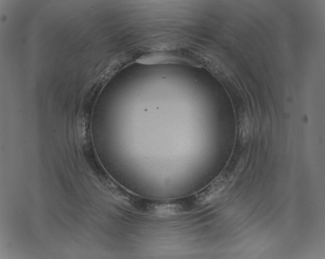 X0000070340268200606231540