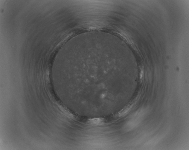 X0000070340269200606231540