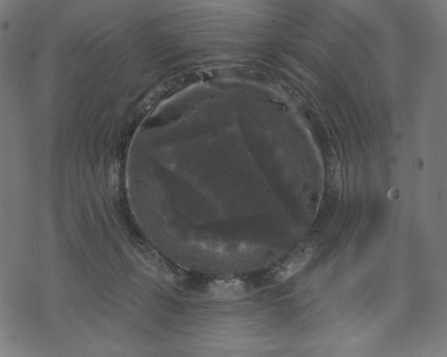 X0000070340271200606231540