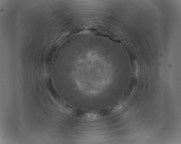 X0000070340272200606231540