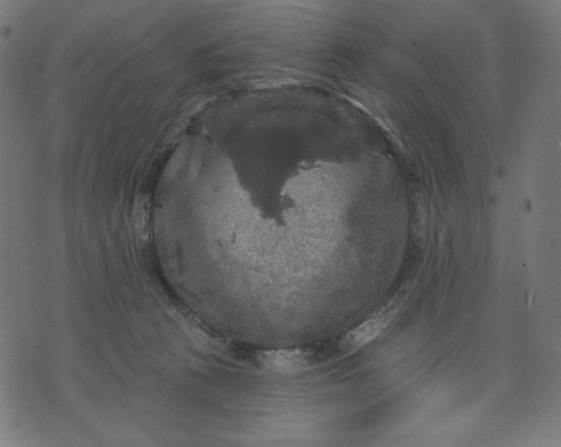 X0000070340273200606231540