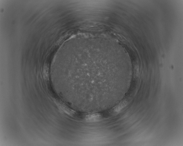 X0000070340274200606231540