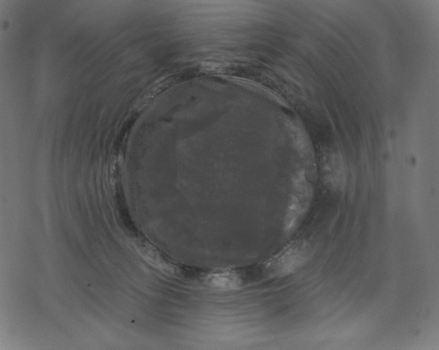 X0000070340275200606231540