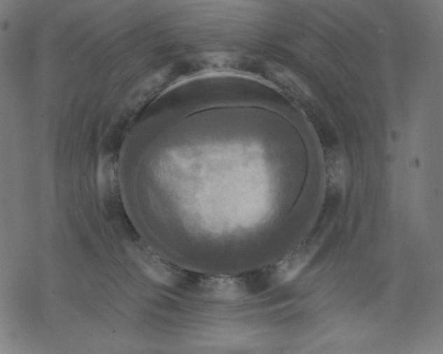 X0000070340276200606231540