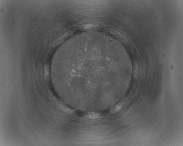 X0000070340278200606231540