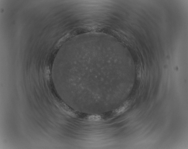 X0000070340279200606231540