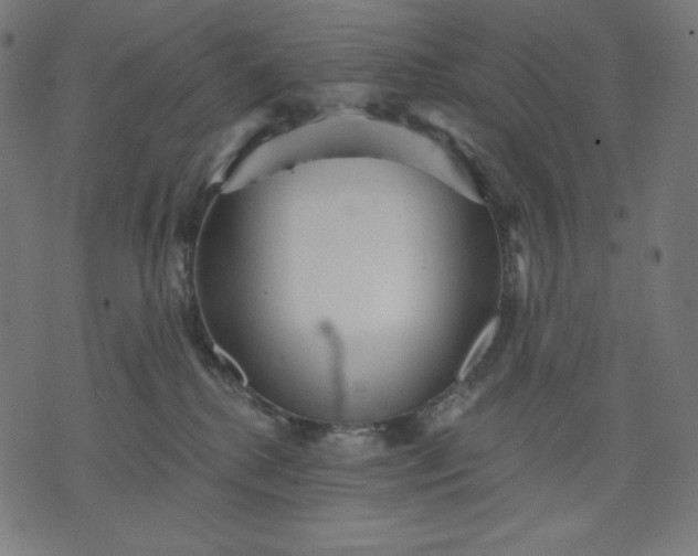 X0000070340280200606231540