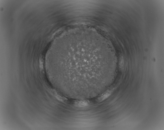 X0000070340282200606231540