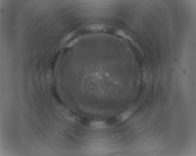 X0000070340283200606231540