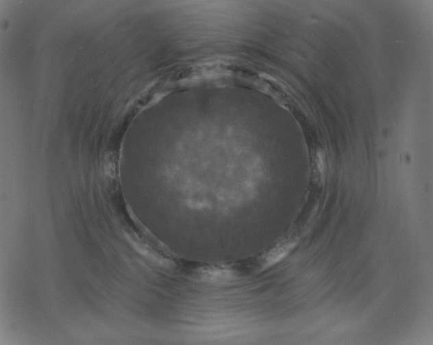 X0000070340284200606231540