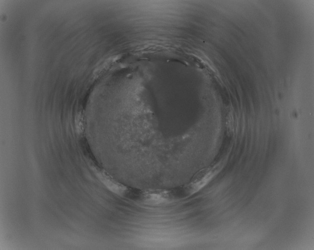 X0000070340285200606231540