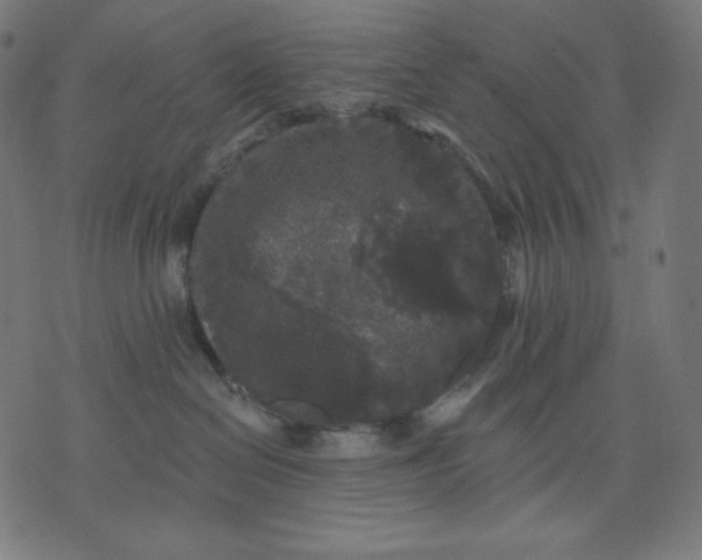 X0000070340286200606231540